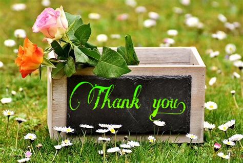 Best Thank You Images For Whatsapp Free Download