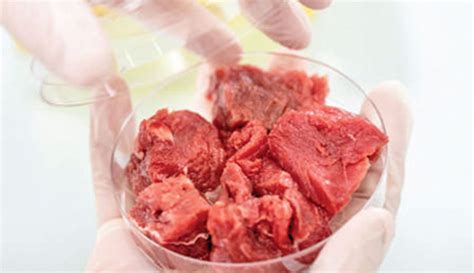 China Closer To Bringing Lab Grown Meat To Dinner Table Print Version
