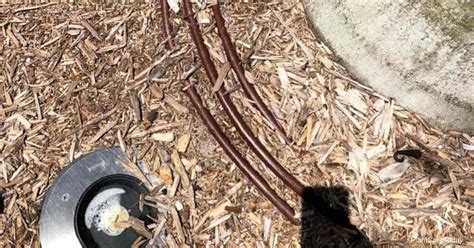 It can start pump water from 5cm down to 1cm. How Much Water Does A Soaker Hose Use Per Hour?