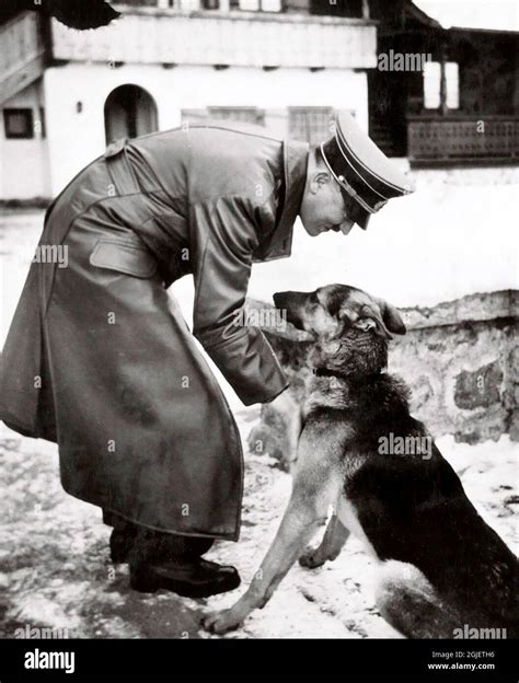 So Wie Das Dunkelheit Baumeister Adolf Hitler Hund Lokal Sprechen Steh Auf