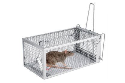 Rodent Control In The Food Supply Chain Ecobloc