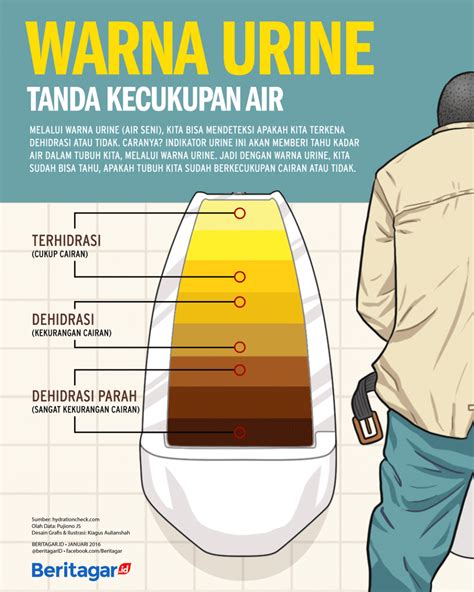 We did not find results for: Warna urine menandakan kecukupan air dalam tubuh