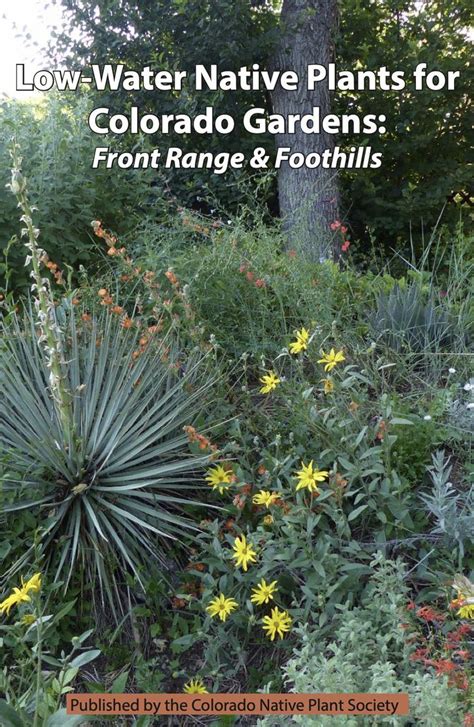 Published By The Colorado Native Plant Society Xeriscape Front Yard