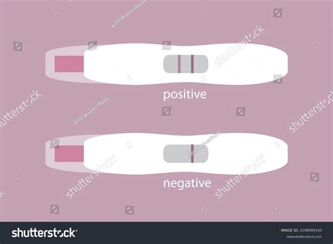 Pregnancy Test Positive Negative Info Graphic Stock Illustration