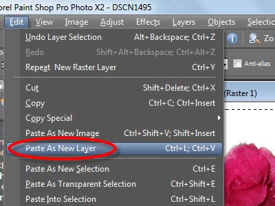 Simply copy the text that you need generating into lower case and paste the text into the box above and select the 'lower case' tab. How to Copy and Paste an Image in Paint Shop Pro: 5 Steps