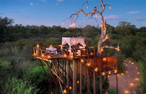 Check spelling or type a new query. Lion Sands Private Game Reserve • Luxury Hotels ...
