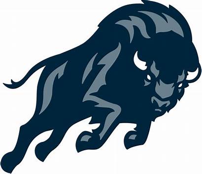Bison Howard Logos Clipart Buffalo Mascot Football