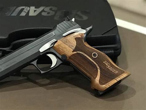 Sig Sauer P226 Legion Custom Pistol Grips Professional Target