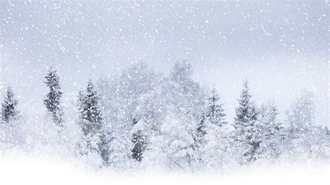 Full Hd 1080p Snowfall Wallpapers Hd Desktop Backgrounds 1920x1080