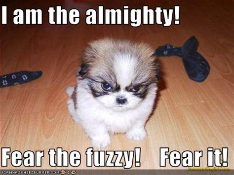 I Am The Almighty Fear The Fuzzy Fear It Cheezburger Funny Memes