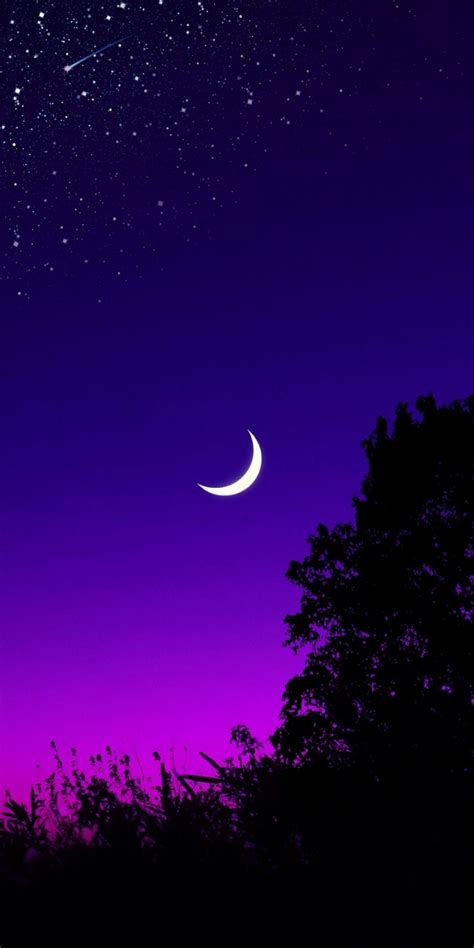 Moon Tree Starry Night Silhouette Minimal 1080x2160 Wallpaper