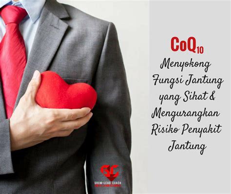 Coq Untuk Jantung Vitamin Cerdik By Coach Anah Ahmad