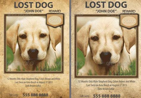 It gets even worse if they happen to come across another playful animal what happens when i find my pet? 20+ Lost Pet Flyers - Word, PSD, AI, Vector EPS | Free ...