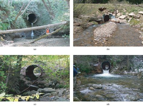 Effects Of Undersized Culverts On Channel Morphology And Fluvial
