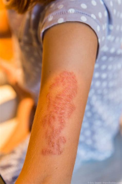 We did not find results for: Vacation Henna: Keep it at Arm's Length - Travel Babbo