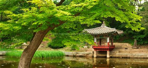 Where to watch secrets in the hot spring. Changdeokgung Secret Garden in Spring - Matt Tilghman ...