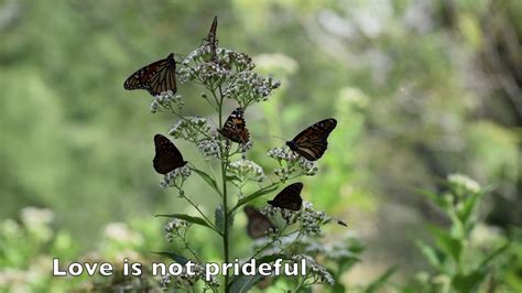 Maybe you would like to learn more about one of these? 1 Corinthians 13: 4 8 - YouTube