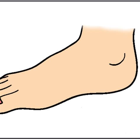 Foot Clipart At Getdrawings Free Download