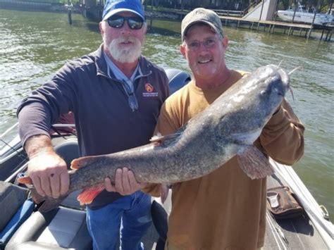 Check spelling or type a new query. Fall Fishing Cedar Creek Lake Texas with BigCrappie.com ...