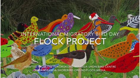 International Migratory Bird Day 2017 Youtube