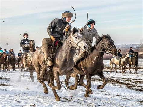 horse breed kazakh