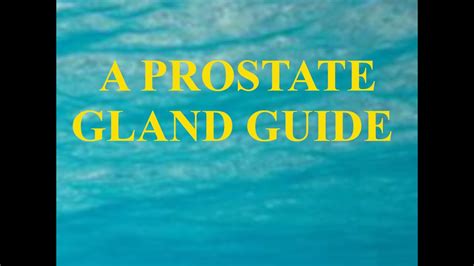 A Prostate Gland Guide Youtube