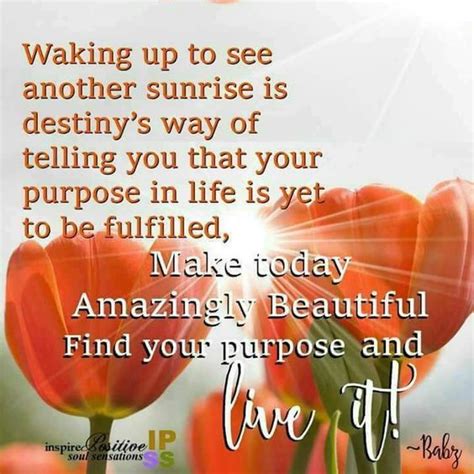 Make Today Amazingly Beautiful Find Your Purpose And Live It Pictures