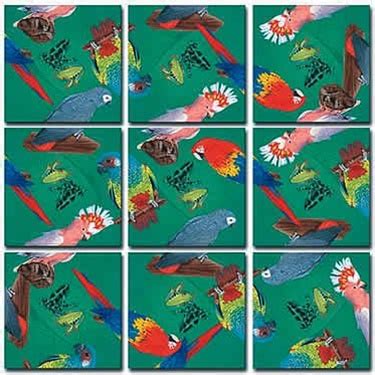 There are currently 4 different scramble squares® styles of exquisite original art are available on nature, sports, history, culture, geography, science, technology, occupations, hobbies and activities. Scramble Squares 9 Piece Brain Teaser Puzzles - Easy to ...