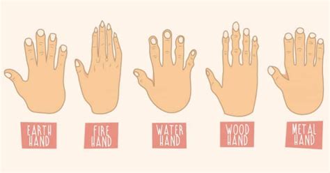 The Shape Of Your Hands Reveal A Lot About Your