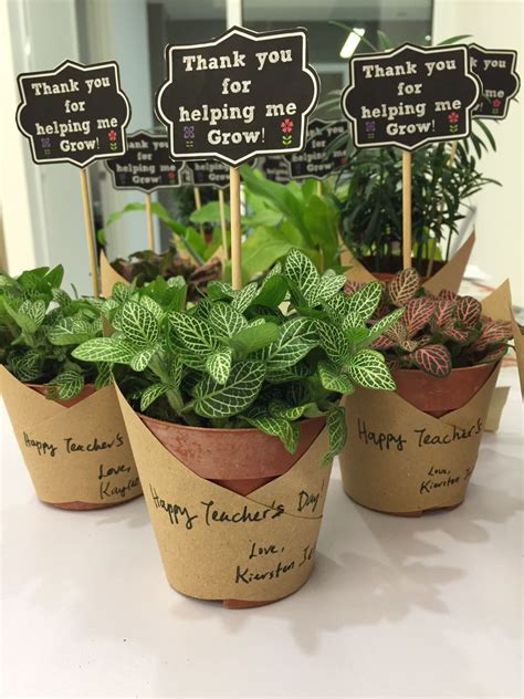diy potted plants as a token of appreciation for teacher s day small teacher ts christmas