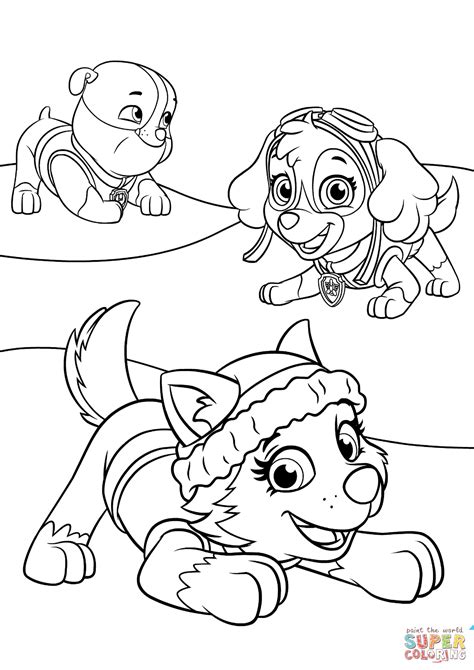 Everest Plays With Skye And Rubble Coloring Page Free Printable