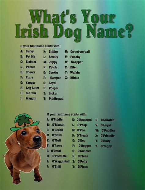 Weird Dog Names Pin On Dog Names