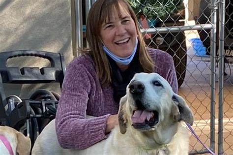 Forever Loved Pet Sanctuary Helping Senior Dogs In Az