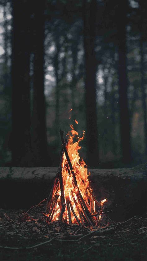 Fire Camping Hd Phone Wallpaper Peakpx