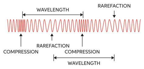 In a transverse wave the particles of the medium vibrate in a direction normal to the direction of the propagation of the wave. Characteristics Of Longitudinal And Transverse Waves Class 11 : NCERT Exemplar Class 11 Physics ...