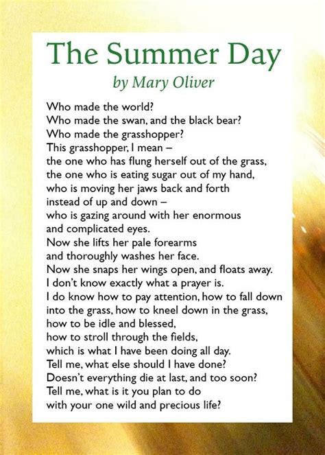 Paulas Paradise Mary Oliver Mary Oliver Poems Mary Oliver Quotes