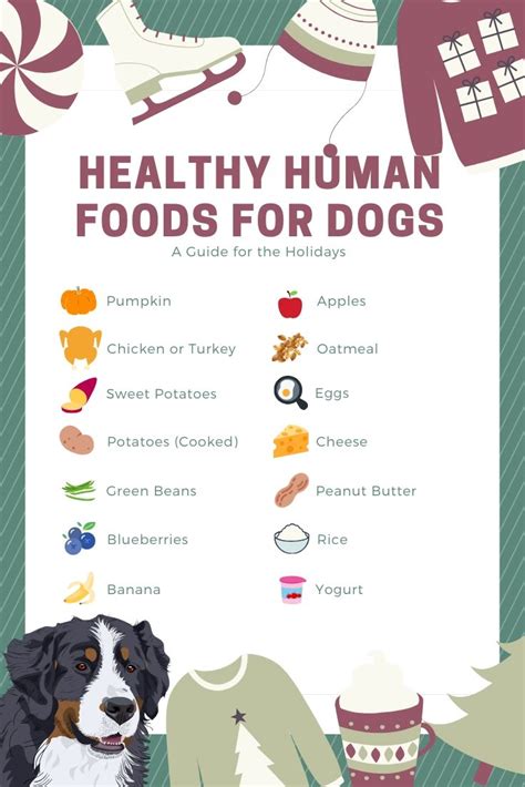 They also have loads of vitamins and fiber and are linked with improved memory and cardiovascular health. List of Human Foods Your Dog Can Eat this Holiday Season