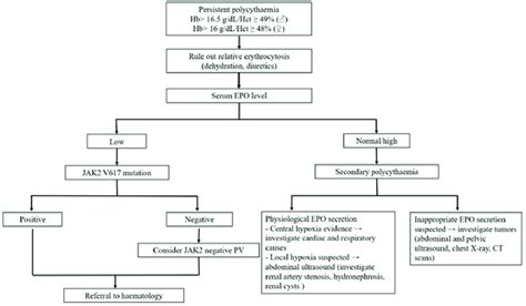 Algorithm For The Evaluation Of Patients With Erythrocytosis