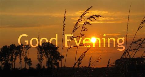 Good Evening Sunsets Sun Sunset Trees Pictures Good Evening Good