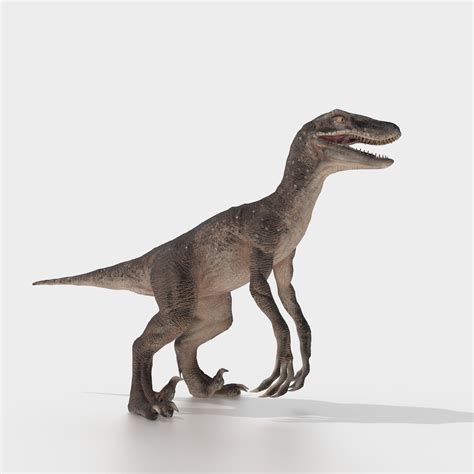 3d Model Velociraptor Dinosaur Vr Ar Low Poly Rigged Cgtrader
