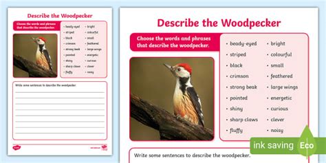 Describe The Woodpecker Writing Activity Twinkl
