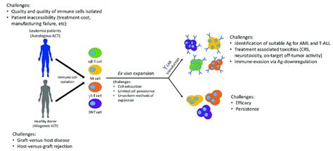 Current Challenges Using Act To Treat Acute Leukemia Download