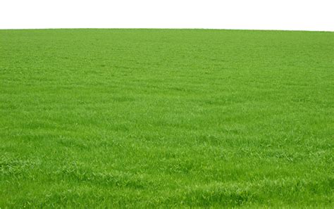 Details 300 Green Grass Background Png Abzlocalmx