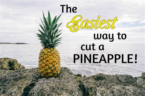 Meeshies World The Easiest Way To Cut A Pineapple