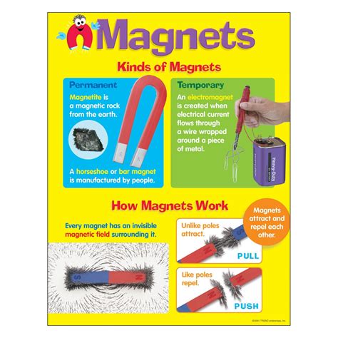 Magnets Learning Chart Life Learning Type Chart How To Find Out