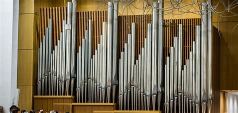St Patricks Cathedral Pipe Organ 125 Years Young Catholic Outlook