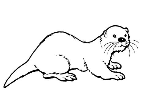 Hairy Nosed Otter Coloring Page Free Printable Coloring Pages For Kids