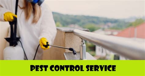Top Tips To Select The Right Pest Control Service Theskfeed