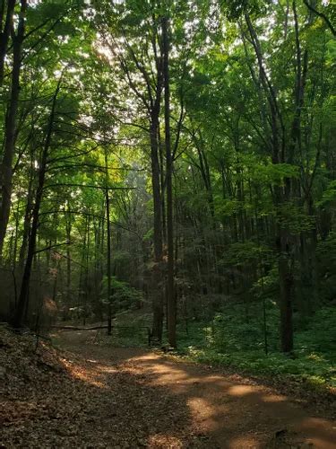 10 Best Trails And Hikes In Newmarket Alltrails
