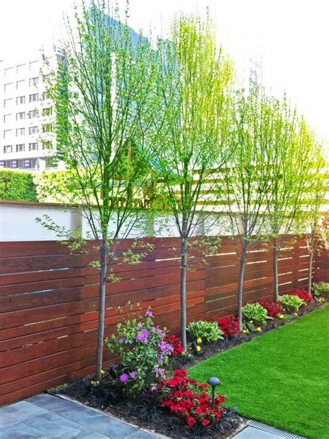 Jack and carolyn's garden is just 12 square metres. Backyard Ideas on a Budget